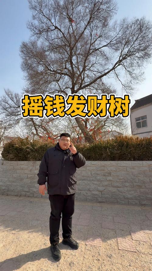 摇到车牌号,瞬间变身摇钱树!