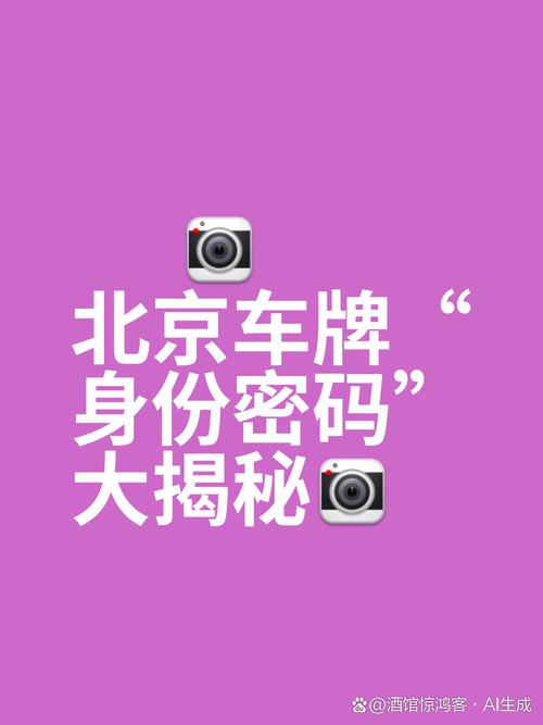 外地车牌在北京:探寻京漂族的独特生活轨迹