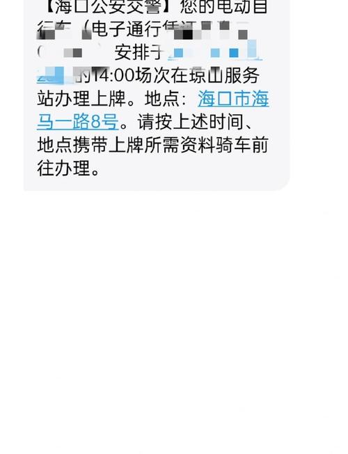 海口电车车牌靓号,见证城市活力新篇章