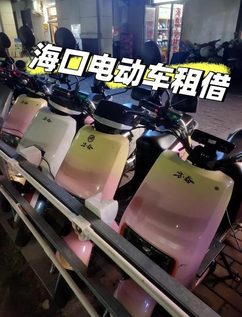 海口电车车牌靓号,见证城市活力新篇章