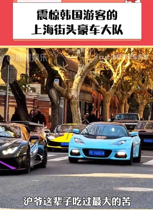 上海街头风云:靓号车牌炸街,速度与激情的碰撞