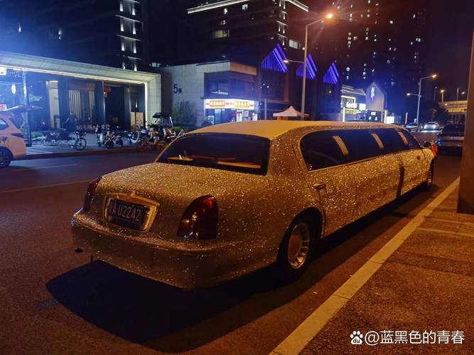 神秘车牌00000:热门豪车背后的故事