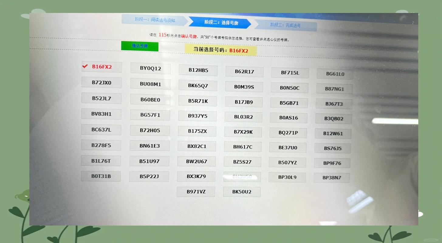 车牌选号进度实时查询,热门车牌轻松锁定!