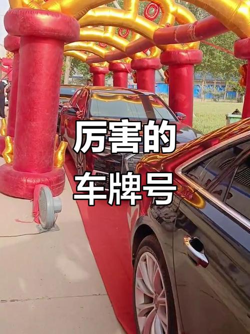 CM300车牌:探寻这款热门车牌背后的故事与魅力