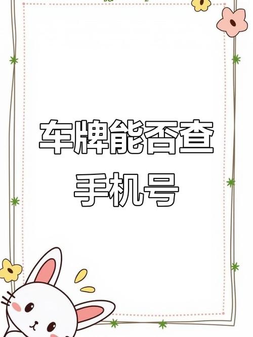 车牌号是怎么办?车主隐私泄露背后的真相