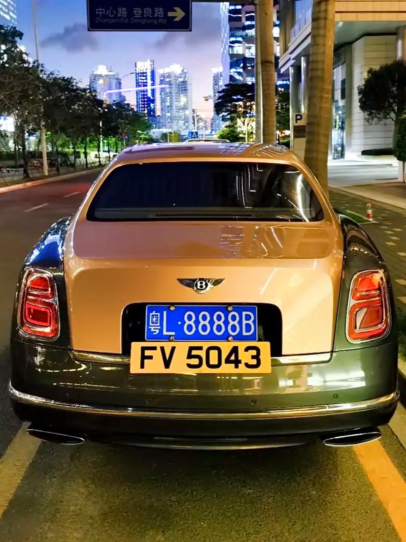 娄底豹子车牌靓号:车牌中的明星,身份的象征