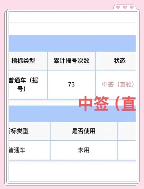 广州车牌号摇号攻略:轻松掌握车牌申请流程