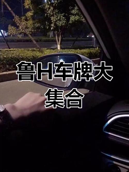 山东滨州车牌鲁M助力新晋网红打卡地