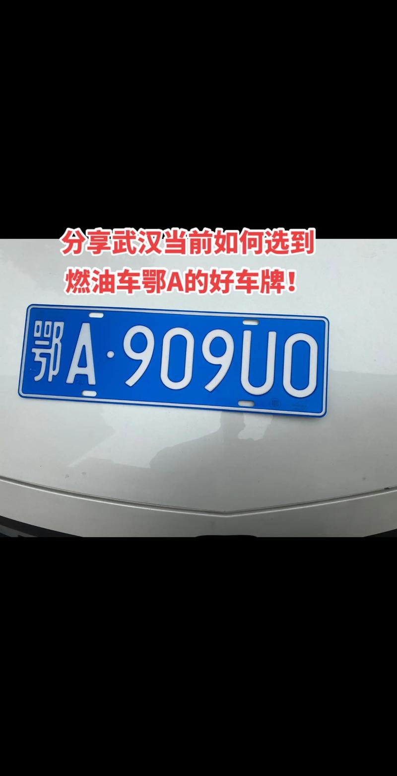 鄂A牌照,带你领略湖北武汉繁华风采!