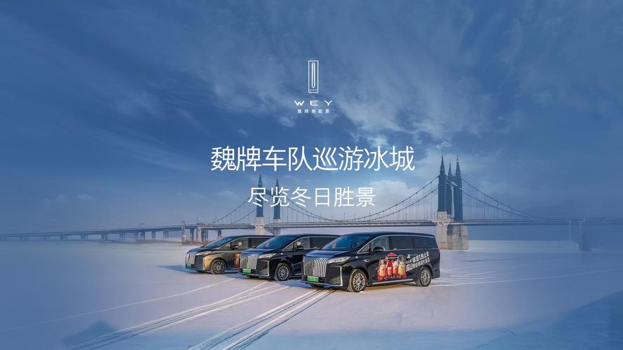 冰城车牌竞拍风云:哈尔滨车牌号拍卖引全民热议!