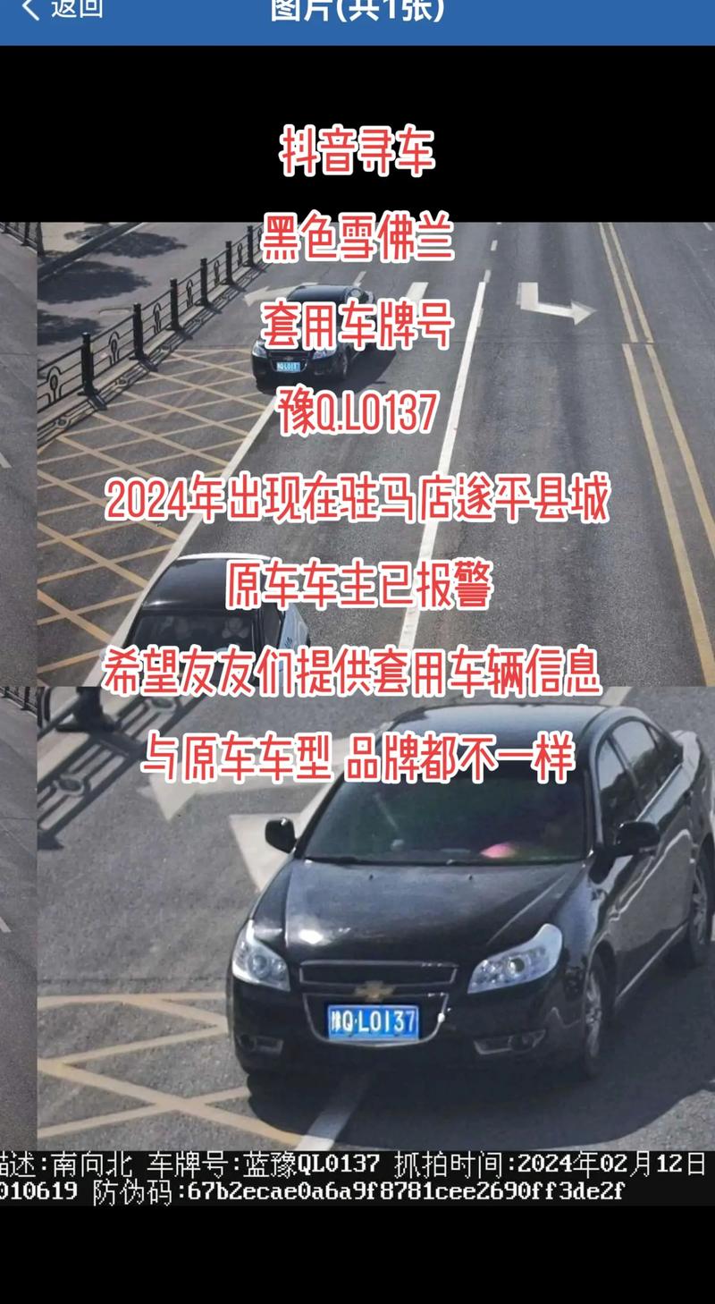 洛阳车牌靓号,背后的寻号高手