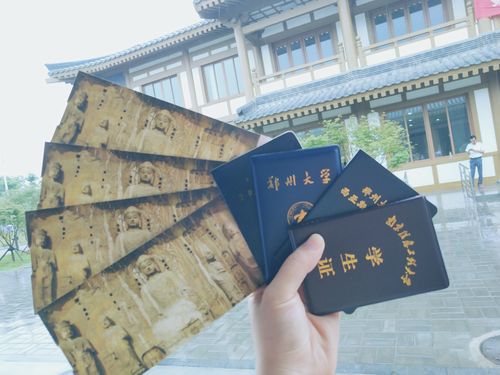 洛阳车牌靓号,背后的寻号高手