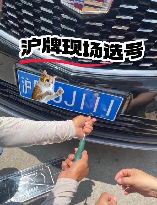 宁波车牌靓号过户热潮来袭,一牌难求,您准备好了吗?