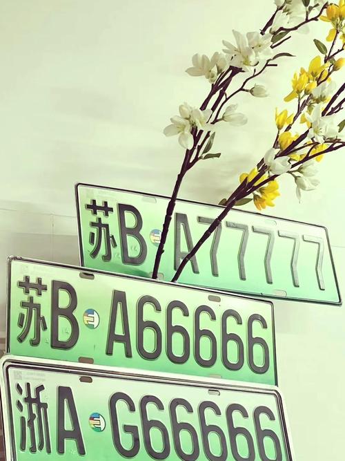车牌号选生日,个性化车牌新潮流!