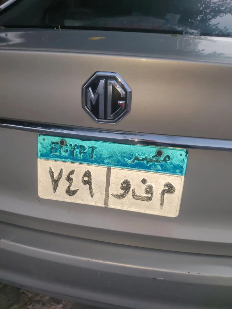 神秘白底黑字:全球独特车牌之谜