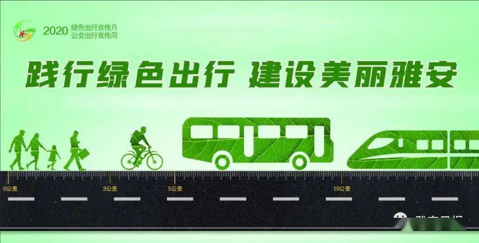 天津新能源车牌抢眼,绿色出行新风尚