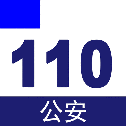 车牌号选110,背后神秘含义!