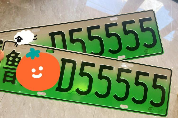 新能源车牌333号引关注:车牌靓号背后的绿色新风尚