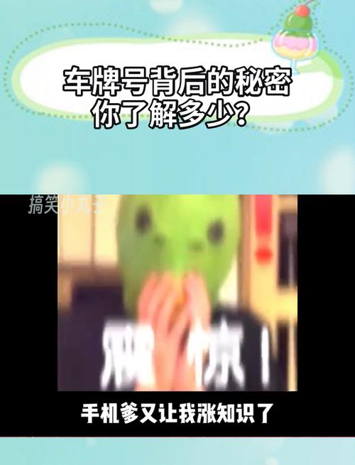 车牌尾数3,隐藏惊人秘密,车主们纷纷热议!