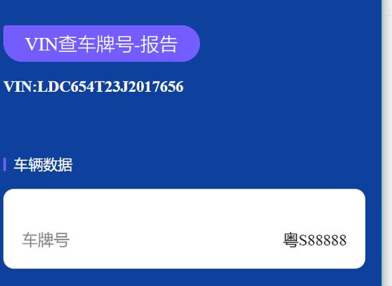 探寻车牌号‘人是什么’背后的神秘故事,车主身份之谜!