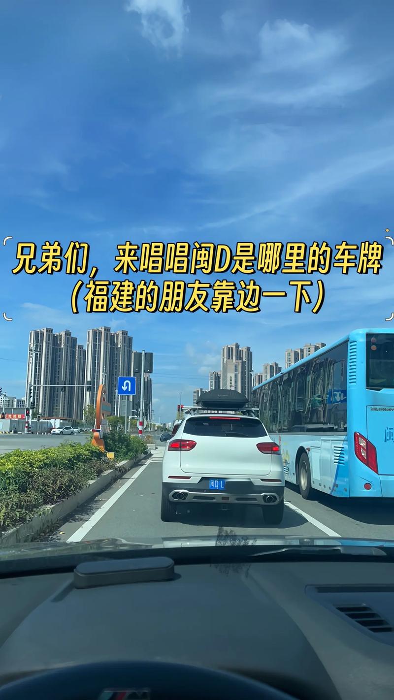 探寻福建魅力:闽D车牌靓号背后的故事