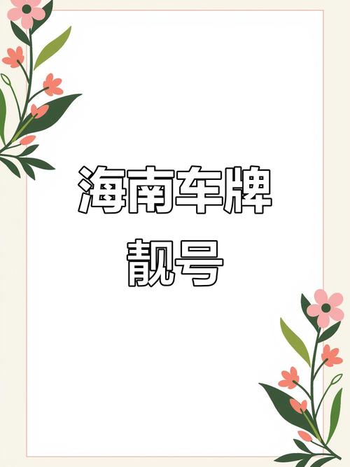 海口车牌新宠:靓号车牌,你的专属身份象征!”