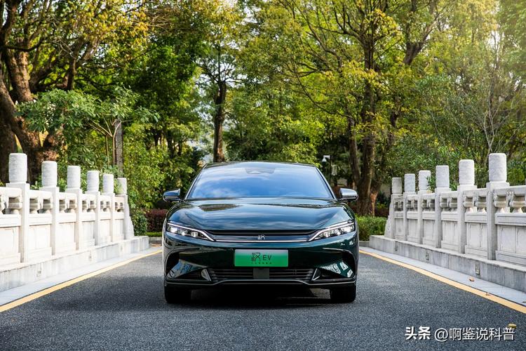 新能源车牌转上海:绿色出行新潮流