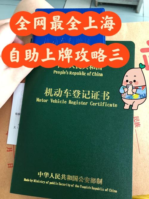 武汉车牌办理攻略:轻松掌握全流程,畅行无阻