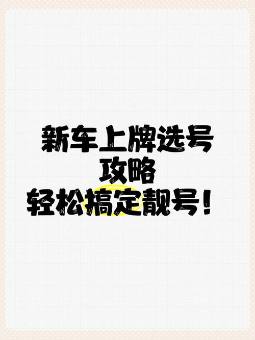泰安车牌靓号选号秘籍,车牌号背后的故事