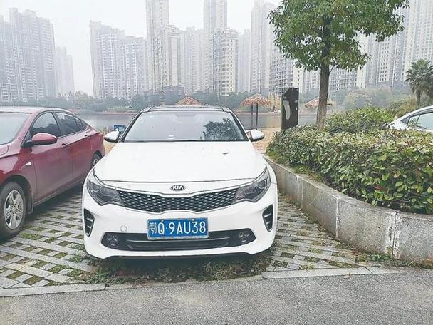 杨凌车牌靓号:车牌中的明星是否存在?