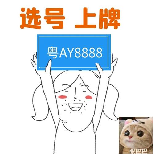 广州车牌竞价选号攻略:轻松锁定心仪车牌号码!