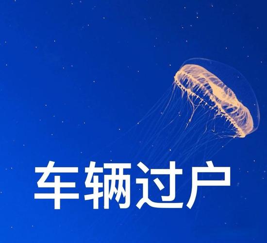 外地车主速看:武汉车牌获取攻略全
