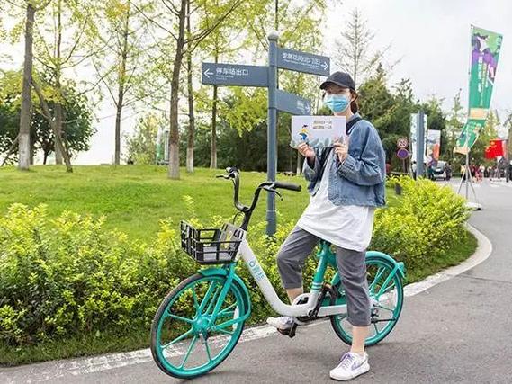 新能源车牌跨城迁移,绿色出行政策助力全国互联互通