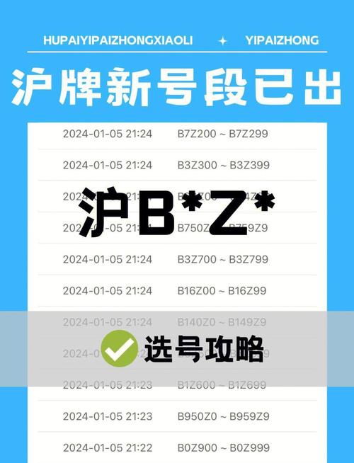 沪牌靓号选号神器,轻松解锁您的专属车牌!