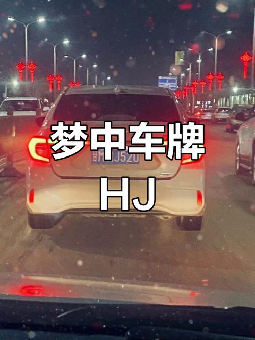 喜从天降!摇到心仪车牌号,车主喜提幸福人生