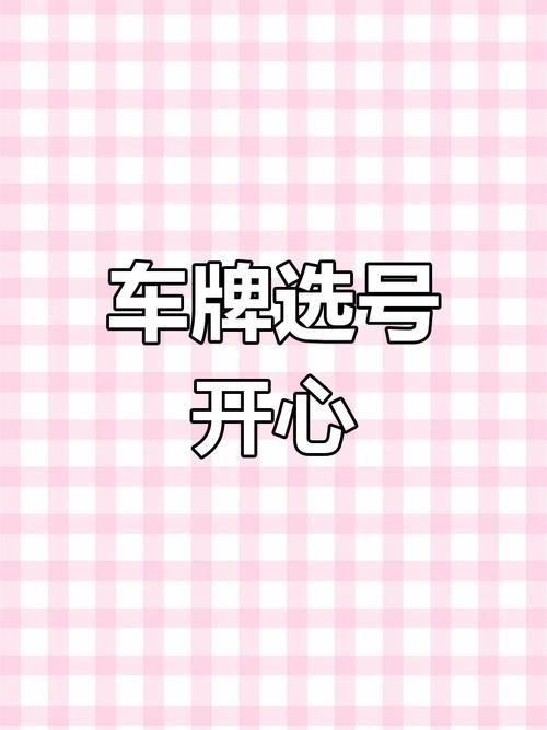 喜从天降!摇到心仪车牌号,车主喜提幸福人生