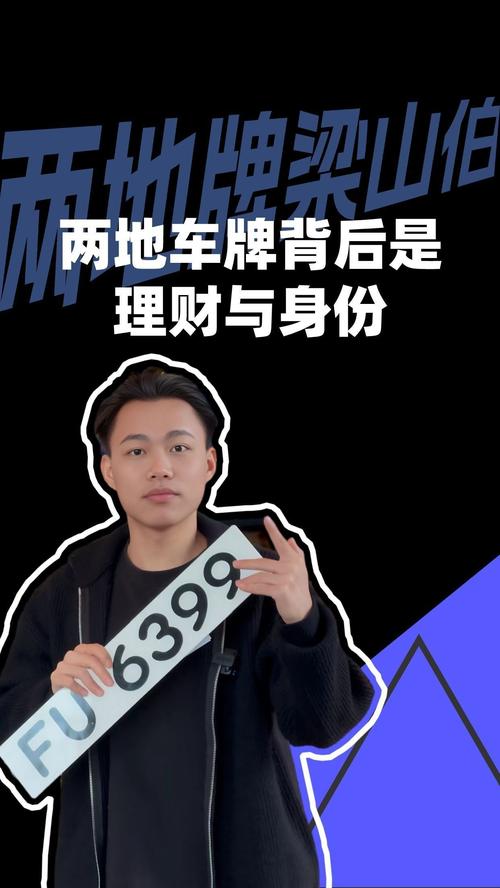车牌号识别:车牌号正则表达式的奥秘