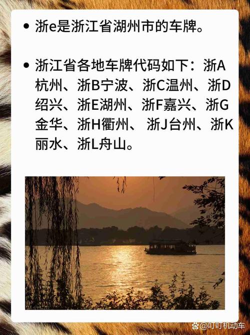 浙E车牌号背后的热门城市!