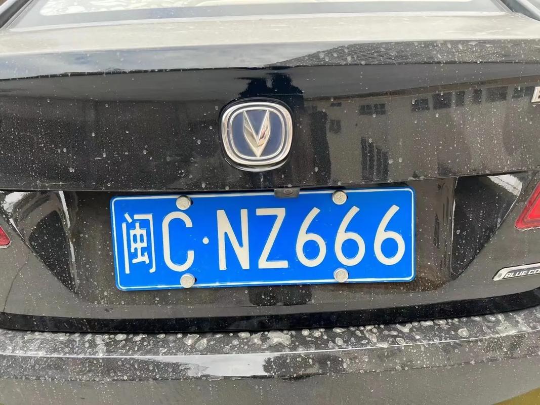 深圳车牌靓号争夺战:数字背后的故事与情感
