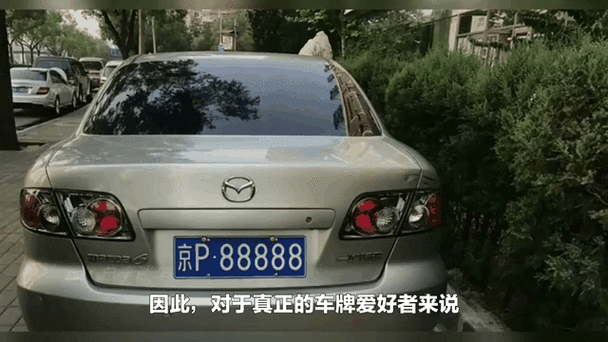 周口车牌靓号1921:独特数字魅力,引发车牌收藏热潮