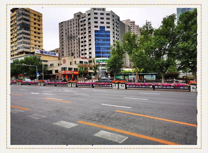 大连车牌靓号街头风采,尽显城市韵味