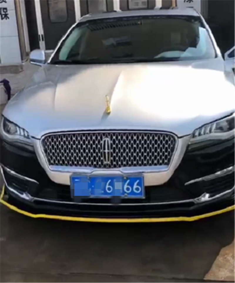 林肯车牌惊现黄发挂耳潮人,独特造型引网友热议!