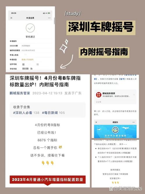 深圳车牌摇号:激烈竞争下的车牌归属之谜