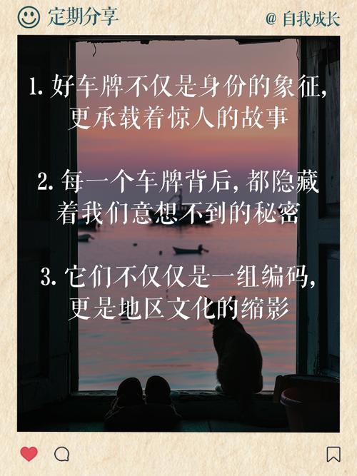 车牌号中的老司机风采:那些漂亮车牌背后的故事