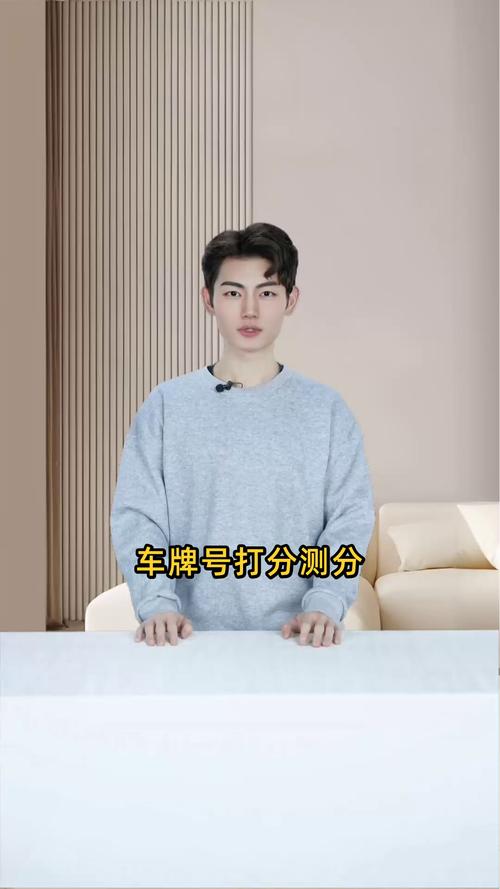 车牌号大:免费测试你的车牌号评分!