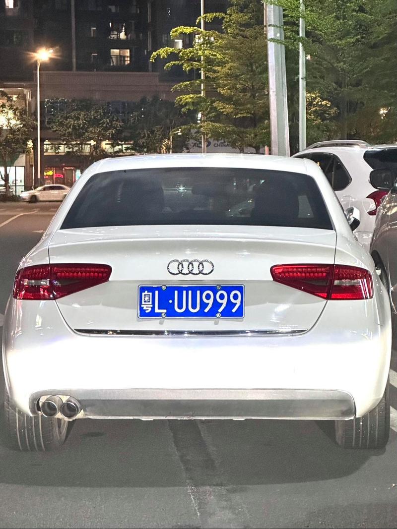 惠州豹子车牌靓号:车牌中的豹子王横空出世