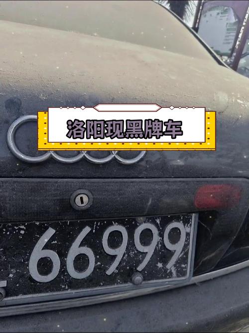 洛阳车牌靓号竞拍风云:车牌背后的故事与传奇