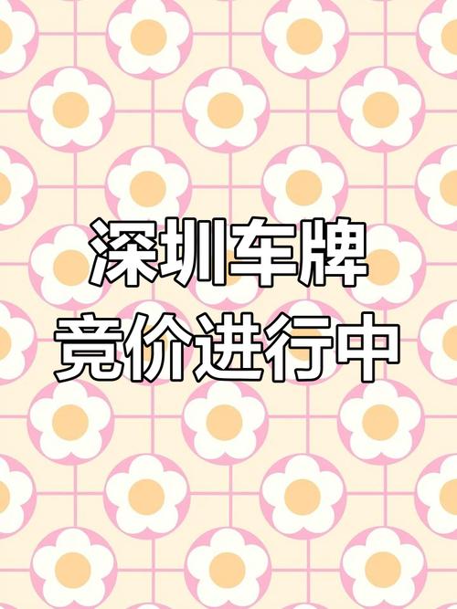 深圳车牌平民靓号，价格亲民，抢购热潮来袭
