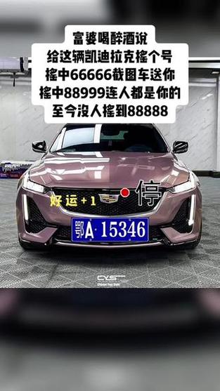 邯郸摇号车牌靓号，车牌号码背后的故事