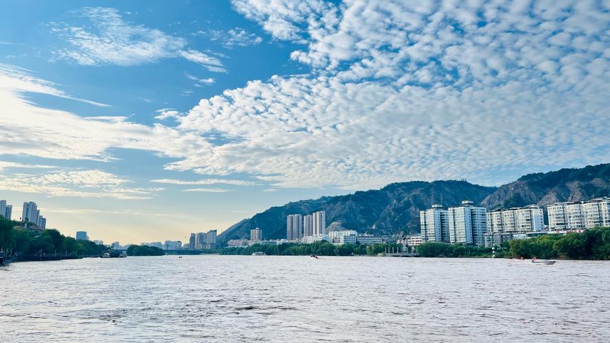 兰州街头车牌靓丽风景线